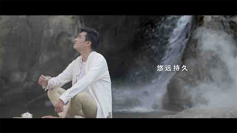 高黄酮养生茶
